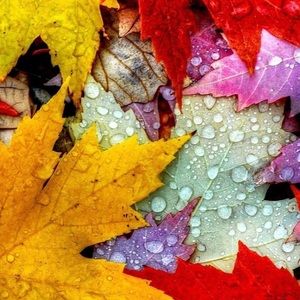 THOUGHTFUL OFFERS ACCEPTED